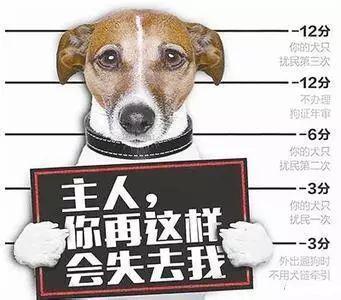⭐靠谱的
WeChat不死老号
哪里买支持人脸识别的