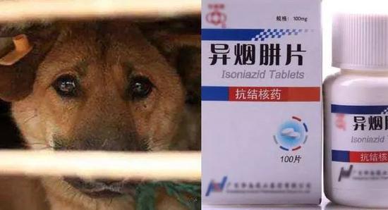 ⭐批量出售高质量的
Telegram三保号
怎么买不弹人脸识别